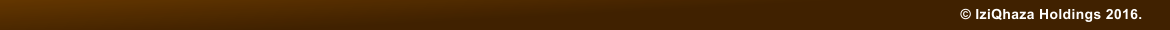� IziQhaza Holdings 2016.